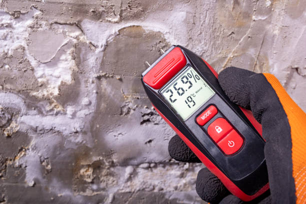 Best Emergency Mold Removal  in Knik Fairview, AK