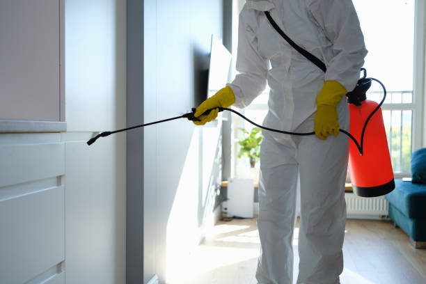 Best Toxic Mold Removal  in Knik Fairview, AK