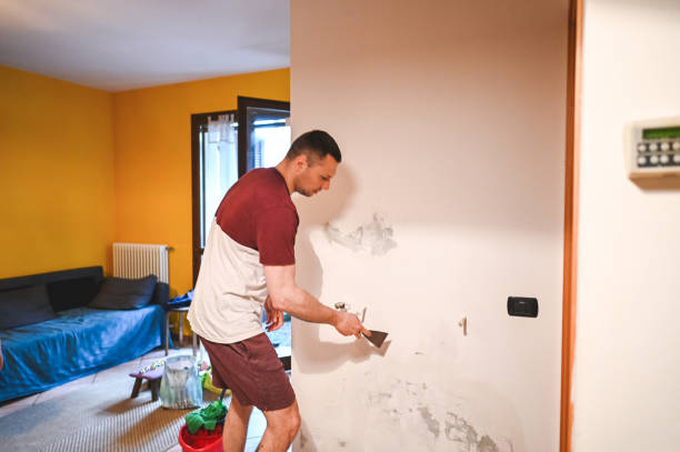 Best Residential Mold Removal  in Knik Fairview, AK